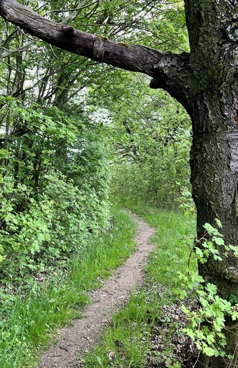 Naturlehrpfad Gera-Süd