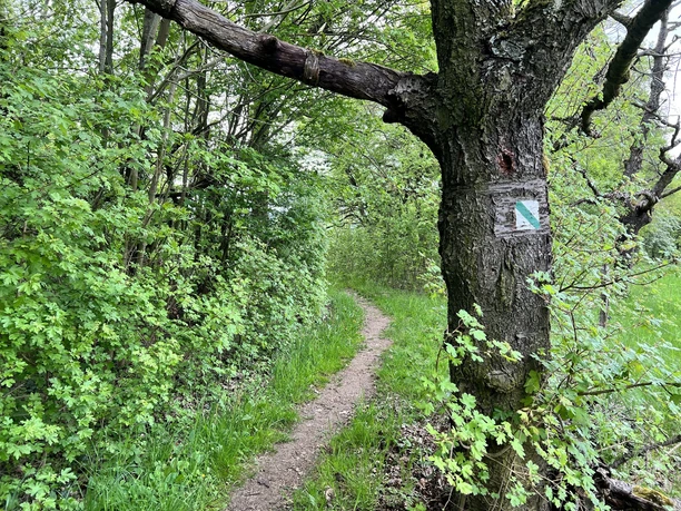 Naturlehrpfad Gera-Süd