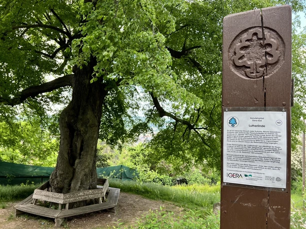 Naturlehrpfad Gera-Süd - Lutherlinde Naturlehrpfad Gera-Süd - Lutherlinde