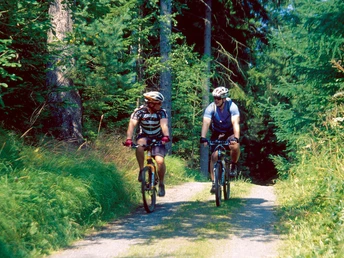 Radfahrer im Wald