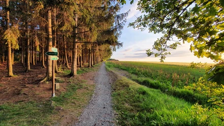 Sonnenrundweg Langenwolschendorf im Sonnenuntergang