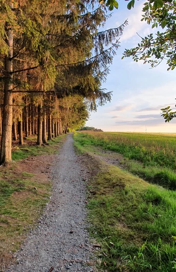 Sonnenrundweg Langenwolschendorf im Sonnenuntergang
