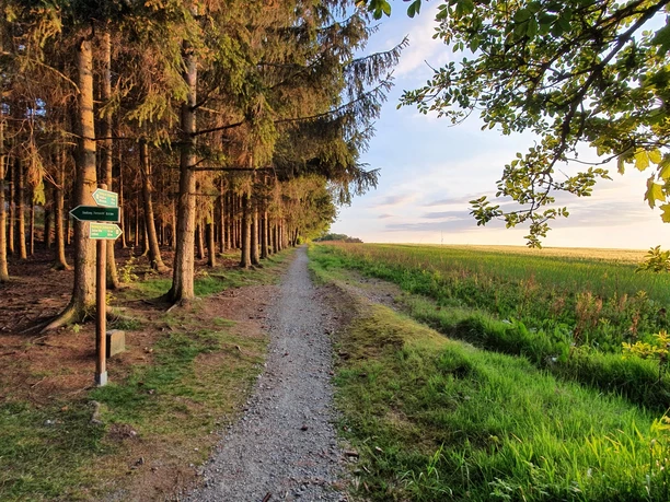 Sonnenrundweg Langenwolschendorf im Sonnenuntergang