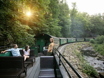 Weißeritztalbahn im Rabenauer Grund