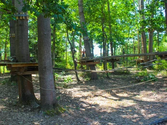 Kletterwald Koala Münchenbernsdorf