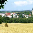 Blick auf Falkenstein mit Kirche