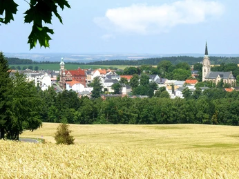 Blick auf Falkenstein mit Kirche