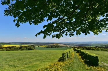 Blick von der Reuther Linde