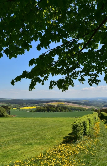 Blick von der Reuther Linde