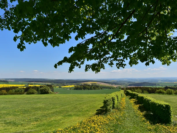 Blick von der Reuther Linde