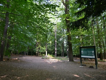 Cottas Grab am Heimatlehrpfad Tharandt