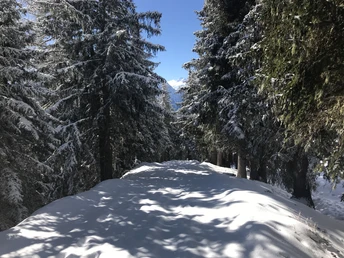 Winterwanderung von der Riederalp via Oberried nach Ried-Mörel