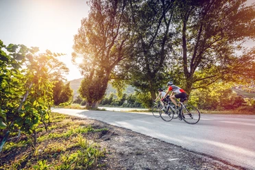 Rhone Route bei Sierre