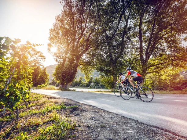 Rhone Route bei Sierre
