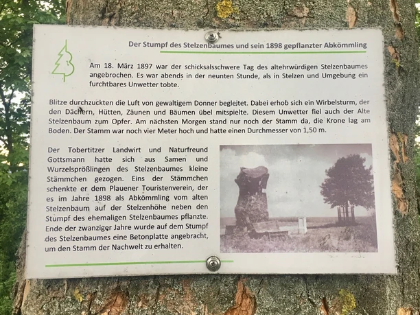 Tafel am Stelzenbaum