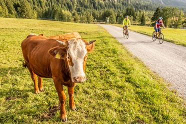 Gut ausgebaute Radwege in der Zugspitz Region