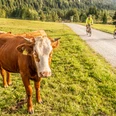 Gut ausgebaute Radwege in der Zugspitz Region