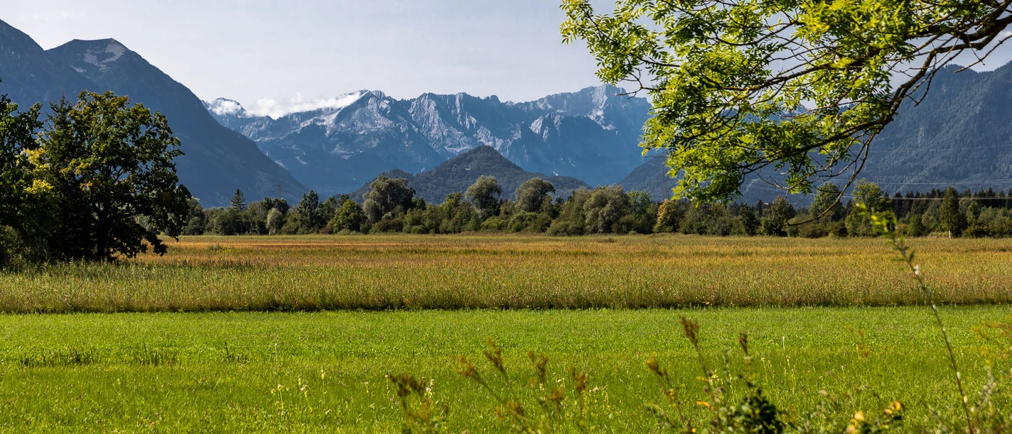 Blick über Moor auf Zugspitzmassiv