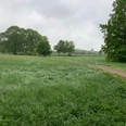 Loberaue Delitzsch