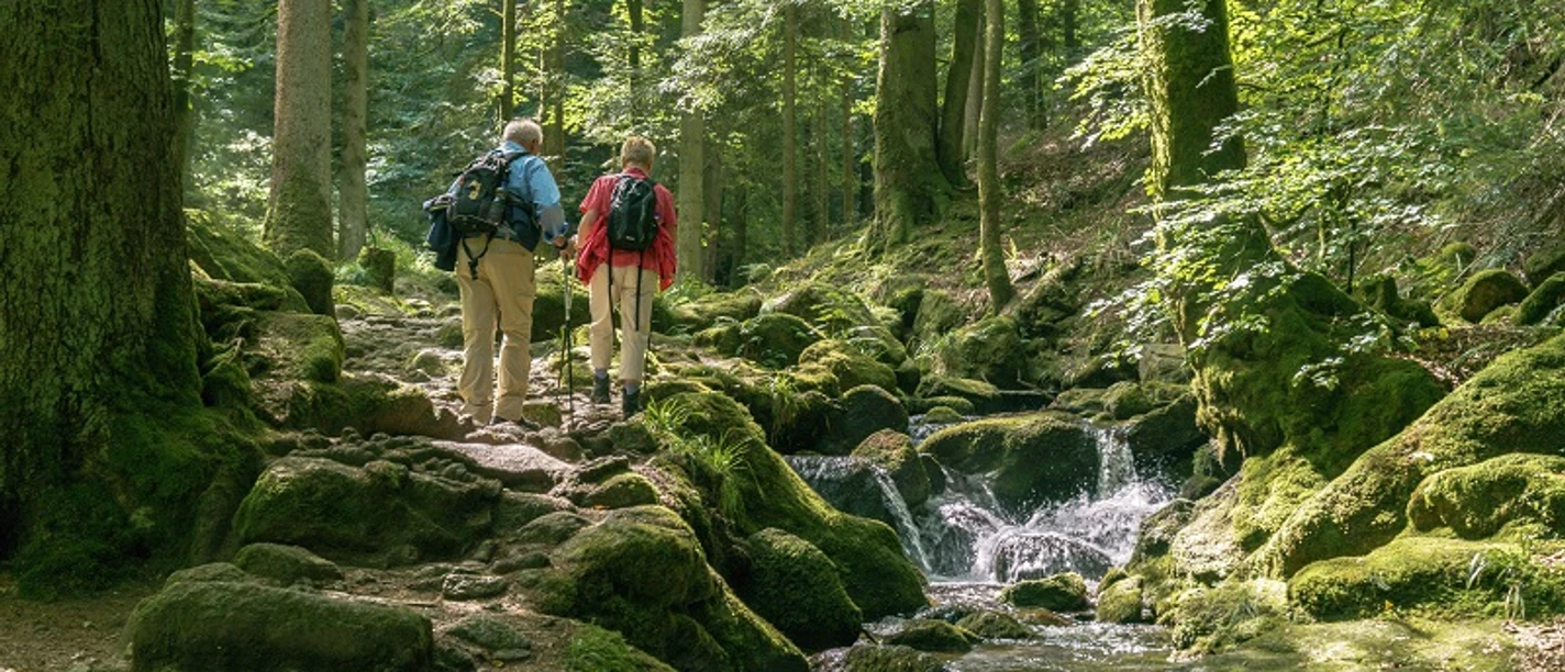 Wanderer in der Gertelbach