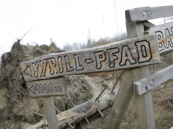 Holzsteg auf dem Kyrillpfad