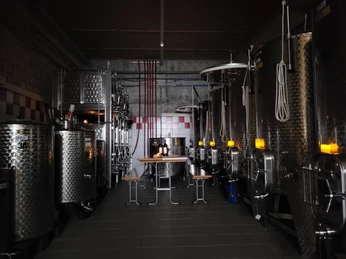 Hochdorf_Winzer Rafael Schacher_Weinkeller2