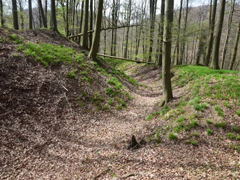 RI 5 Drei-Burgen-Route Osterburg Wallgraben