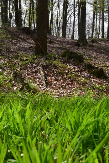 RI 5 Drei-Burgen-Route Osterburg