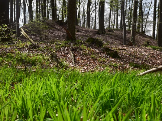 RI 5 Drei-Burgen-Route Osterburg