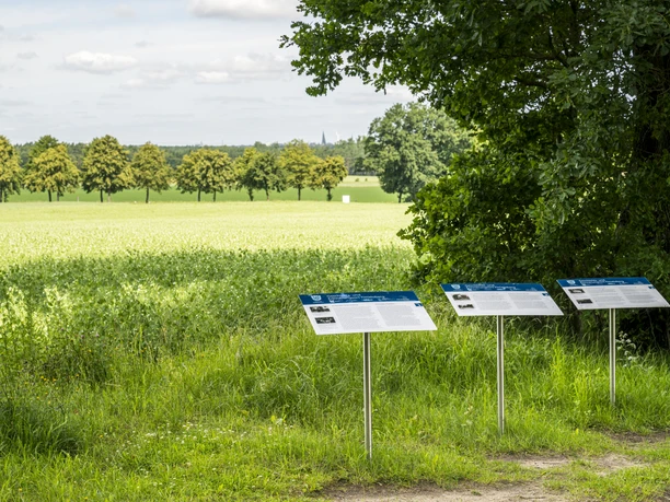 Timelohberg memorial site Timelohberg memorial site