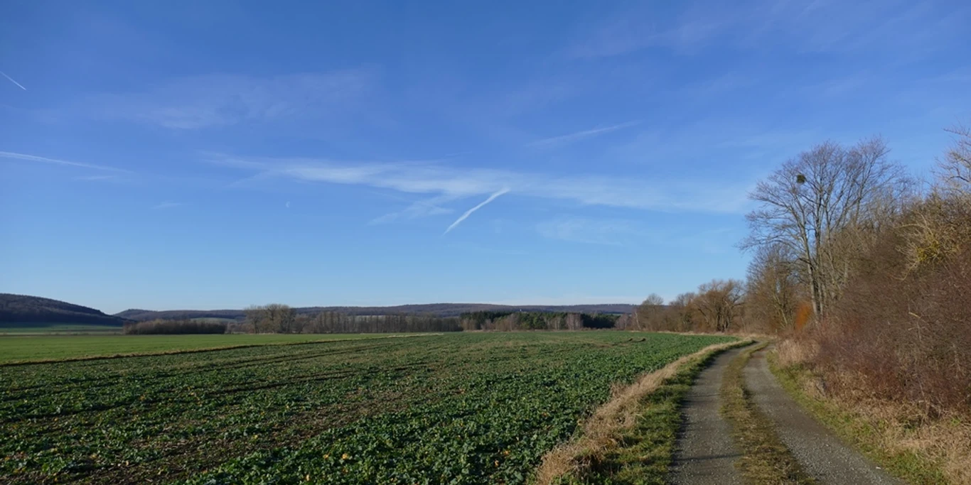 Landwirtschaft in Salzgitter