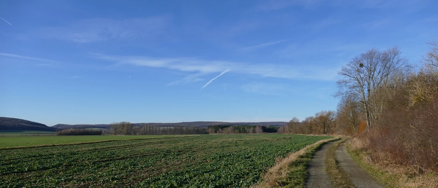 Landwirtschaft in Salzgitter Landwirtschaft in Salzgitter