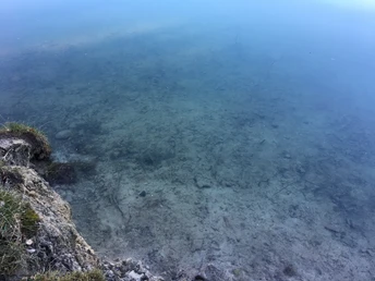 Blick in das glasklare Wasser des Bruchsees im Winter