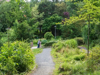 Der Kurpark in Bad Sachsa