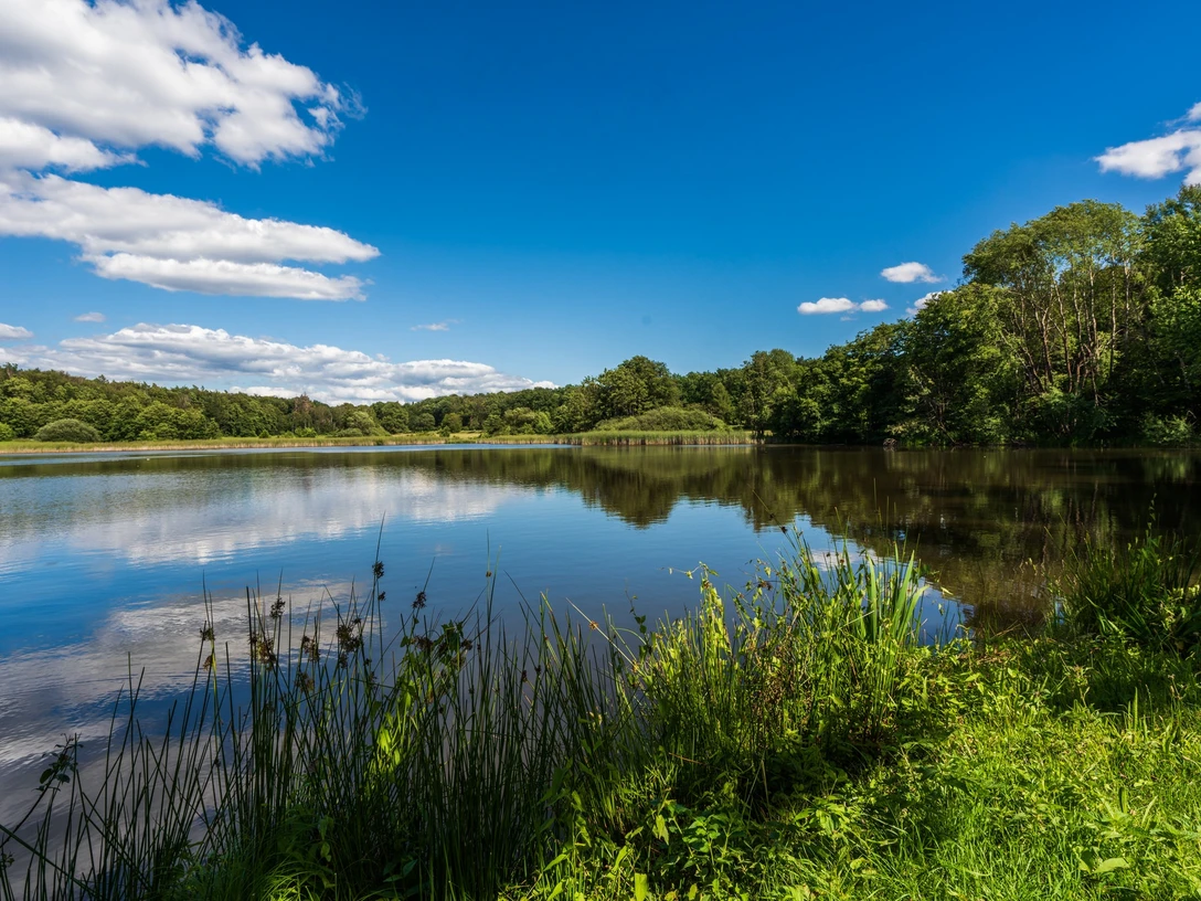 Der Steinbruchsteich in Bad Sachsa