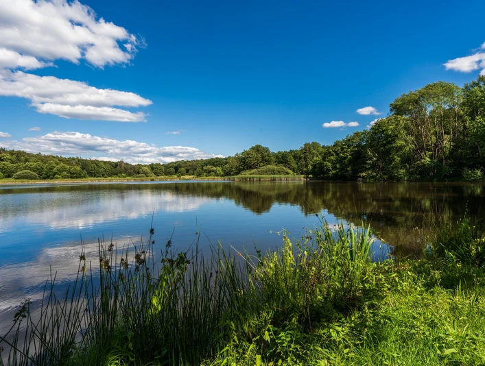 Der Steinbruchsteich in Bad Sachsa
