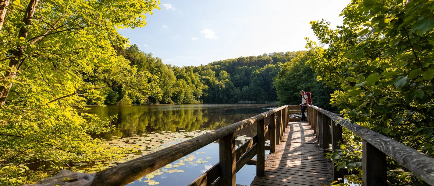 Bergsee Delliehausen