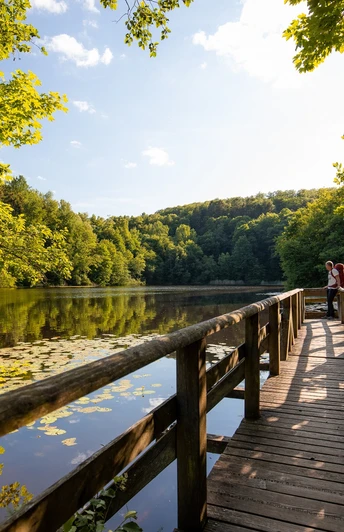 Bergsee Delliehausen