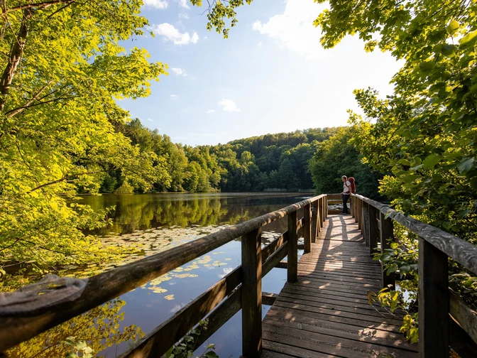 Bergsee Delliehausen