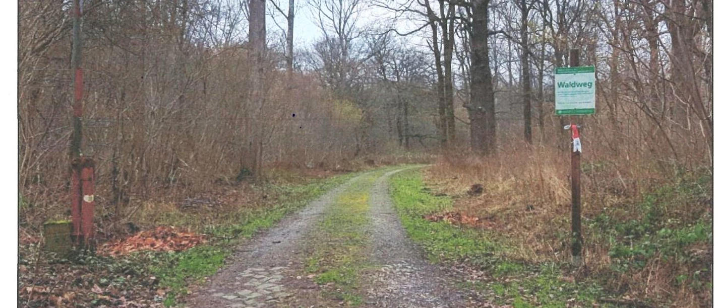 Waldweg zum ehemaligen Gelände des Arbeitserziehungslagers Lager 21 in Salzgitter Waldweg zum ehemaligen Gelände des Arbeitserziehungslagers Lager 21 in Salzgitter