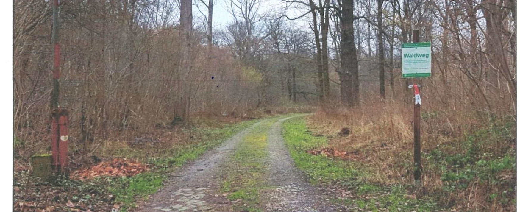 Waldweg zum ehemaligen Gelände des Arbeitserziehungslagers Lager 21 in Salzgitter