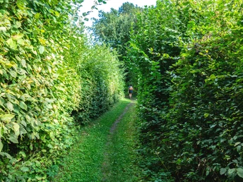 Qualitätstour Durch das Habichtstal (Po 2)