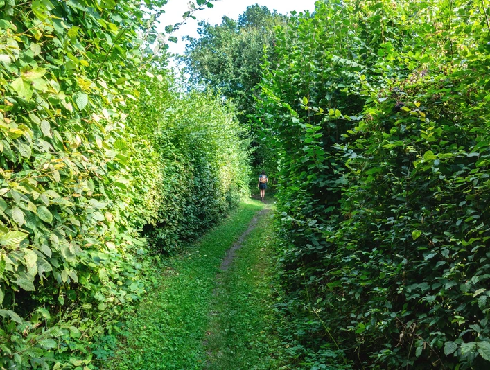 Qualitätstour Durch das Habichtstal (Po 2)