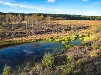 Qualitätstour Hochmoorgeist (S 1) - Blick ins Hochmoor Mecklenbruch