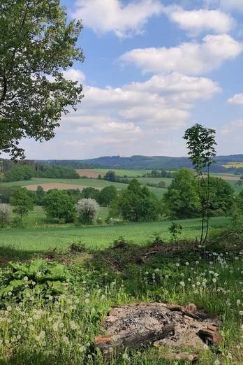 Henneckenberg und Jägeranger (Es 6)