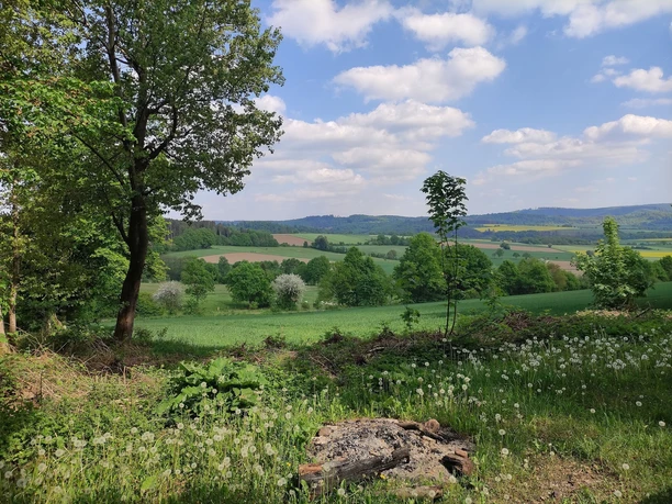 Henneckenberg und Jägeranger (Es 6)