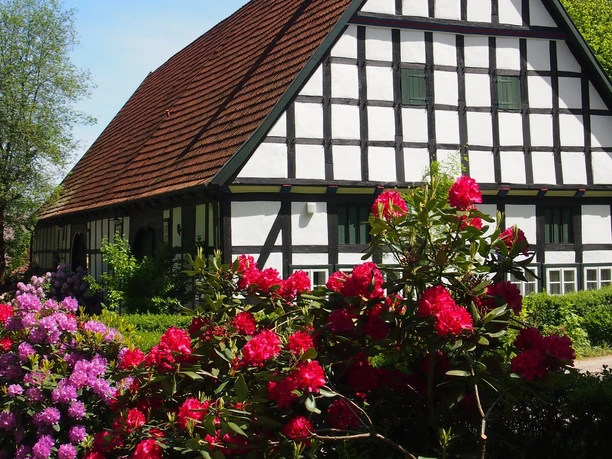 Burg Wittlage aus der Vogelperspektive