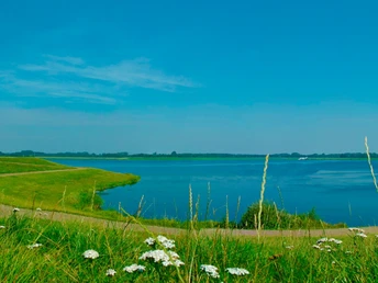 Radeln auf der Radrundtour Bramsche 3
