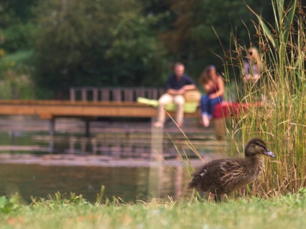 Mit dem Rad unterwegs in der Radregion Osnabrücker Land