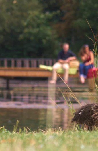 Radeln auf der Rundtour Glandorf - Bad Laer